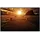 Papermoon Infrarotheizung Steg Sonnenuntergang 750 W Bunt