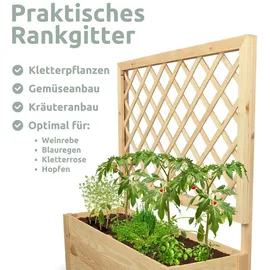 holz4home® holz4home Pflanzkasten mit Rankgitter Pflanzkübel mit Rankgitter Spalier für Rankpflanzen M