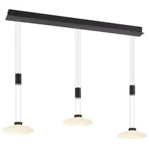 Paul Neuhaus LED Pendelleuchte Lautada in Schwarz 3x 7,5W 2850lm eckig schwarz
