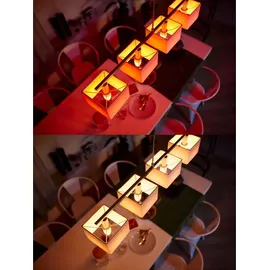 Philips Hue White & Color Ambiance E14 470 lm 5,3 W Doppelpack