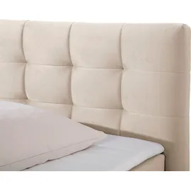 Home Affaire Moulay 160 x 200 cm H4 Beige