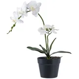 tinkaro Künstliche Zimmerpflanze Künstliche Orchidee Pflanze H:49 cm Grün-Weiß, tinkaro, Höhe 47 cm grün
