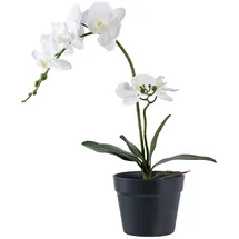 tinkaro Künstliche Zimmerpflanze Künstliche Orchidee Pflanze H:49 cm Grün-Weiß, tinkaro, Höhe 47 cm grün