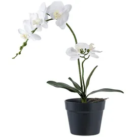 tinkaro Künstliche Zimmerpflanze Künstliche Orchidee Pflanze H:49 cm Grün-Weiß, tinkaro, Höhe 47 cm grün