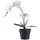 tinkaro Künstliche Zimmerpflanze Künstliche Orchidee Pflanze H:49 cm Grün-Weiß, tinkaro, Höhe 47 cm grün