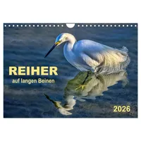 Calvendo Reiher - auf langen Beinen (Wandkalender 2026 DIN