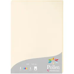 Pollen 10x Papier A4 Pollen 160g 50 Blatt - Elfenbein 14204C