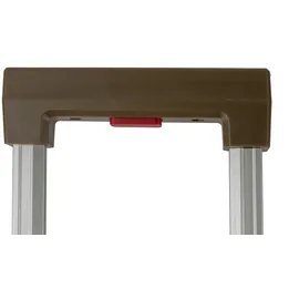 TRAVELHOUSE Tokyo 2-Rollen S Cabin 55 cm / 78 l gold