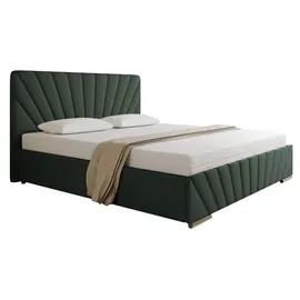 panda möbel Polsterbett RAY - Komfortbett mit Stauraum, Doppelbett, Dunkelgrün, 180x200cm, Taschenfederkernmatratze, H3 - dunkelgrün