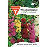 exoticsamen Gefüllte Stockrosen alcea rosea 25 Samen Bunte Mischung Stockrose Samen