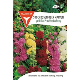 exoticsamen Gefüllte Stockrosen alcea rosea 25 Samen Bunte Mischung Stockrose Samen