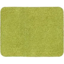 Astra Entra 60 x 75 cm Grün