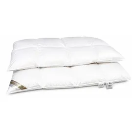 Betten Hofmann Hofmann Franken 8cm Hochsteg Winterbett Daunenbett Daunendecke 4x6 155x200 1200g