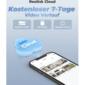 Reolink Dual Objektiv Überwachungskamera 4K 8 MP PTZ