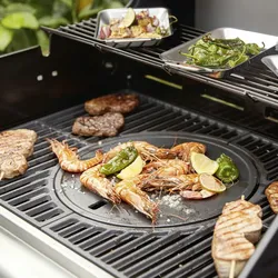 LANDMANN Modulus Grillplatte - Schwarz