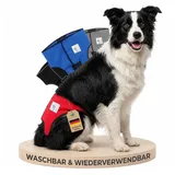 NATURE PET Premium Läufigkeitshose für Hündinnen – Hochwertige & Bequeme Hundewindeln für Hündinnen & Rüden – Waschbare Inkontinenz-Hundewindel ohne Einfädeln der Rute – M/Rot