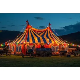 SPICELITE LED Lichterkette 50 m Schwarz 5 bunte Kugellampen