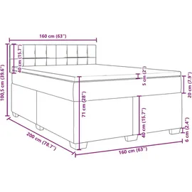 vidaXL Boxspringbett 160 x 200 cm Hellgrau