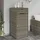 furnicato Gartenschrank 55 x 55 x 111 cm Grau