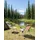 Beliani Asine Gartenstuhl 2er Set 59 x 59 x 108 cm beige/schwarz klappbar