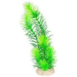 Europet-Bernina Aquariendeko Aquariumpflanze Raues Hornblatt