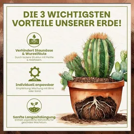 GREEN HOME LOVE NATURE Kakteenerde 72 l