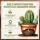 GREEN HOME LOVE NATURE Kakteenerde 72 l