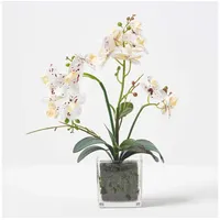 Homescapes - Künstliche weiße Phalaenopsis-Orchidee im Glas-Topf, 42 cm