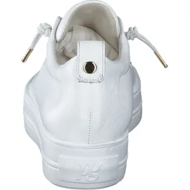 Paul Green 5017 white 37