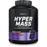 BIOTECH Hyper Mass Strawberry Pulver 4000 g