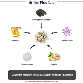 Exvital Grünlippmuschel Plus Gelenktabletten für Hunde 180 g