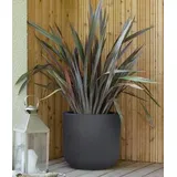 Eda Basalt Up Ø 48,5 cm Anthrazit