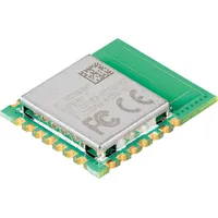 Raspberry Pi® SC1169 Radio Module 2