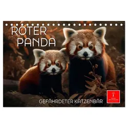 Roter Panda - gefährdeter Katzenbär (Tischkalender 2025 DIN A5 quer), CALVENDO Monatskalender