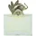 Kenzo Jungle Eau de Parfum 100 ml