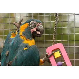 Aquagart Volierendraht 1 x 30 m 0.704.270.793.982