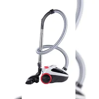 Dirt Devil DD2001 grau