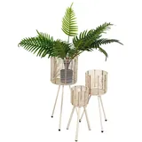 Romimex Blumentopf-Set aus Rattan, Beine (3-teilig)