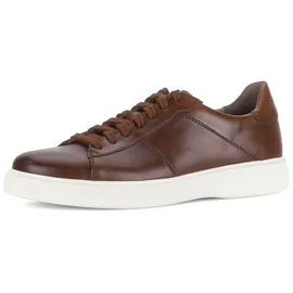 Gabor Sneaker Low Herren Braun 44,5