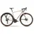 R Raymon Territ Pro Street 2025 28 Zoll RH 50 cm beige/braun