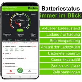 Bulltron 300Ah 12,8V Polar LiFePO4 Akku inkl. Smart BMS und Bluetooth App