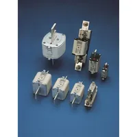 Siba NH-Sicherungseinsatz 2037304.350
