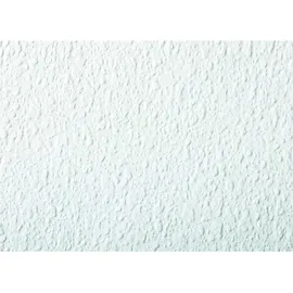 Rasch Textil Rasch Vliestapete 127607 Uni Weiß Grob 10,05x0,53 m