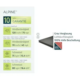 CANOPIA Carport Arcadia Alpine 5,02 x 3,59 m grau inkl. Regenrinne