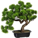 Creativ green Kunstbonsai »Bonsai Kiefer«, grün