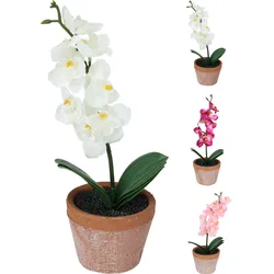 Kunstblume ORCHIDEE