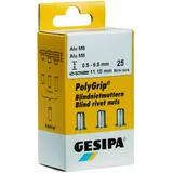 GESIPA Blindniettechnik GmbH PolyGrip Blindnietmuttern Mini-Pack Alu M 8 x 11 x 20
