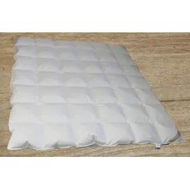 Betten Hofmann Luxus Daunenbett Daunendecke warme Ganzjahresdecke 6x7, 200x220 cm