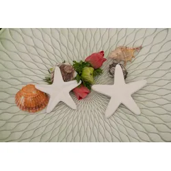 Seestern Deko 8cm liegend