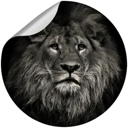 mySPOTTI Vliestapete »Lion«, Tiermotiv, Löwe, grau/weiß, matt